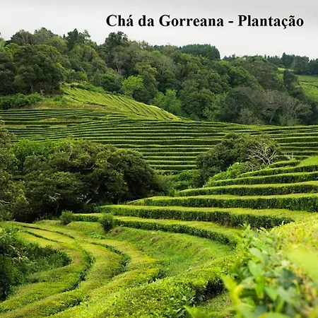 Esperanca House 1 Apartman *