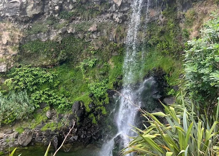 Esperanca House 1 Apartment Maia (Sao Miguel)