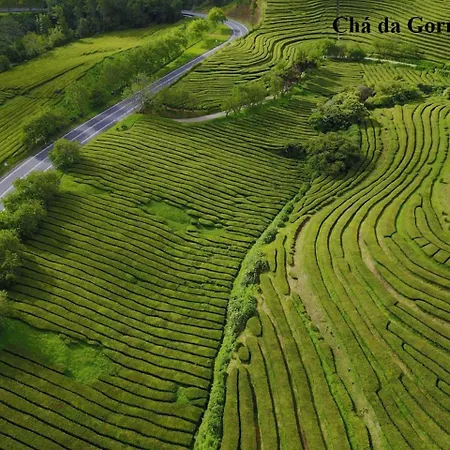 Esperança House 1 *