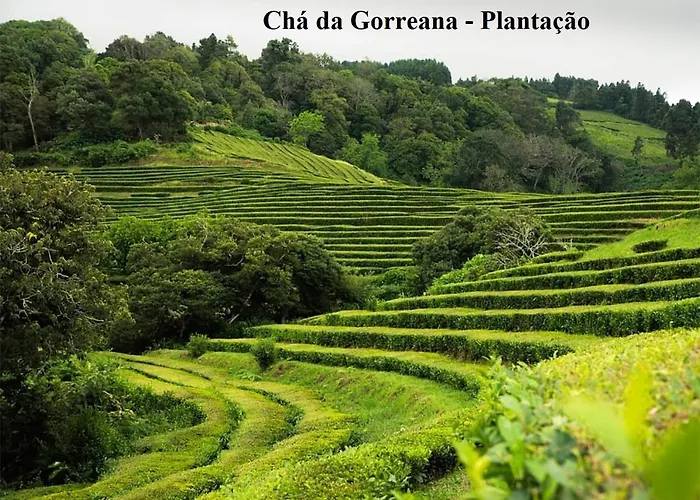 Esperanca House 1 Apartment *